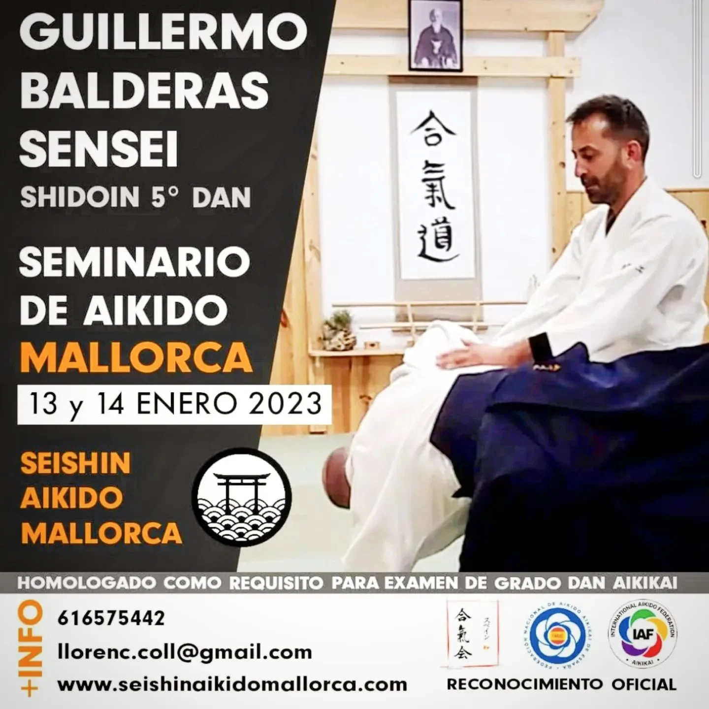 Aikido en Mallorca. Seishin Dojo.