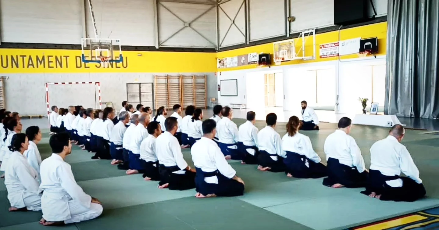 Seishin Aikido Mallorca