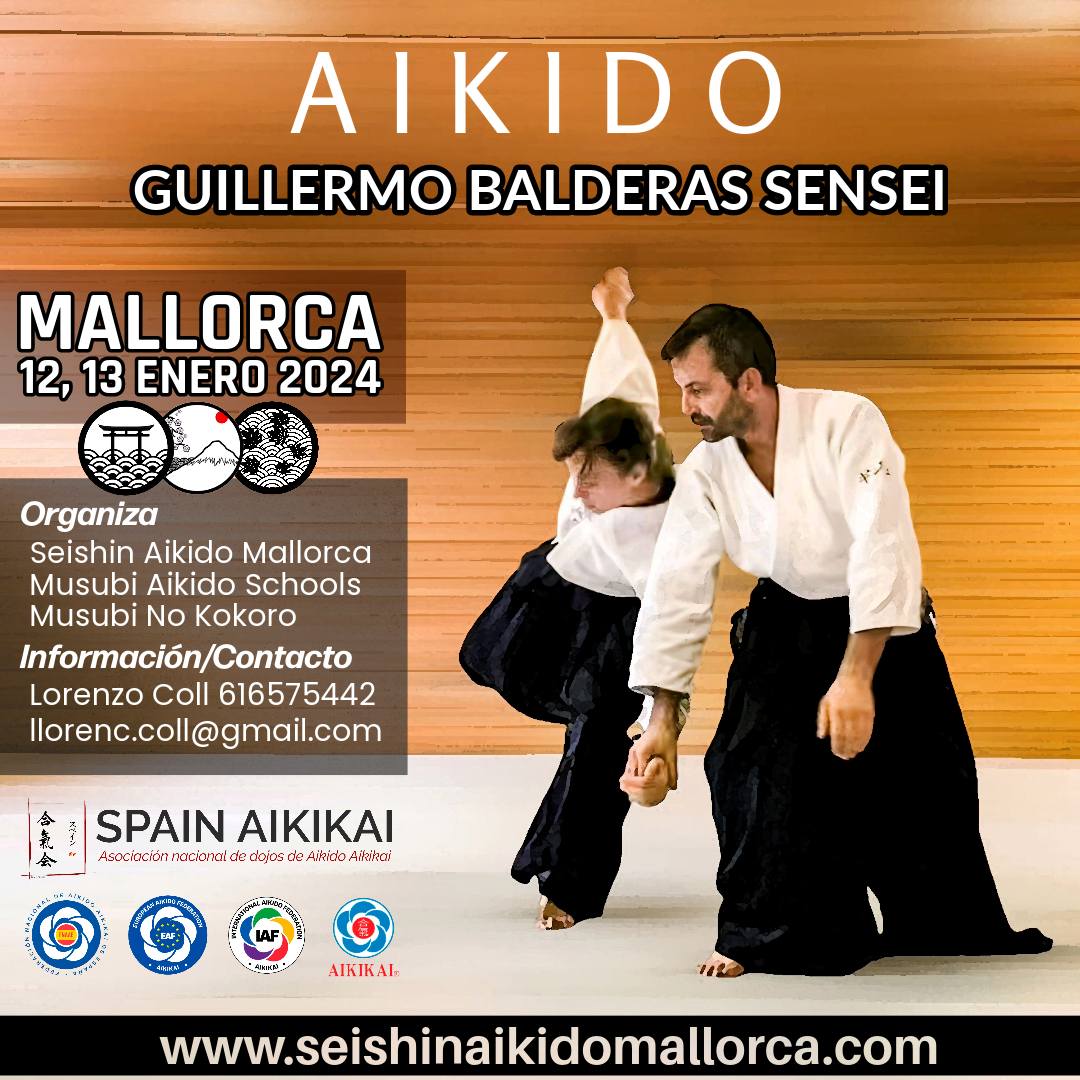 Seishin Aikido Mallorca. Guillermo Balderas Sensei. Musubi No Kokoro.