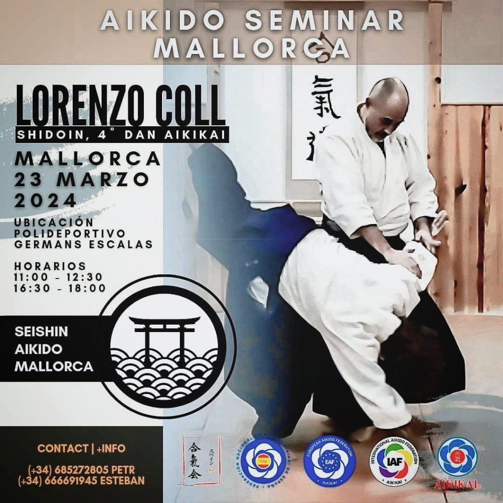Lorenzo Coll Sensei. Seishin Aikido Mallorca. Seminario de Aikido en Mallorca.