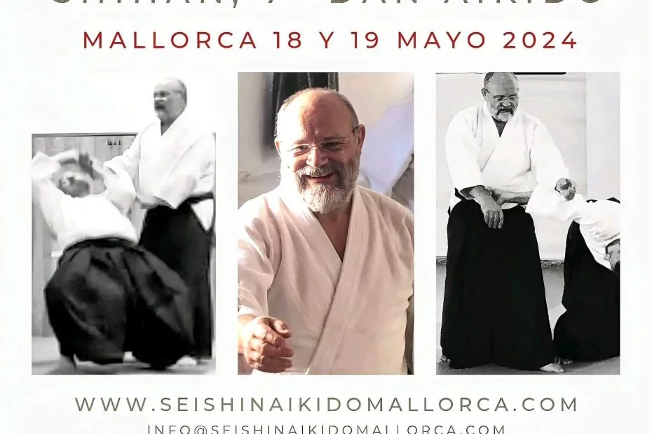 Pepe Jesús García Shihan. Seishin Aikido Mallorca.