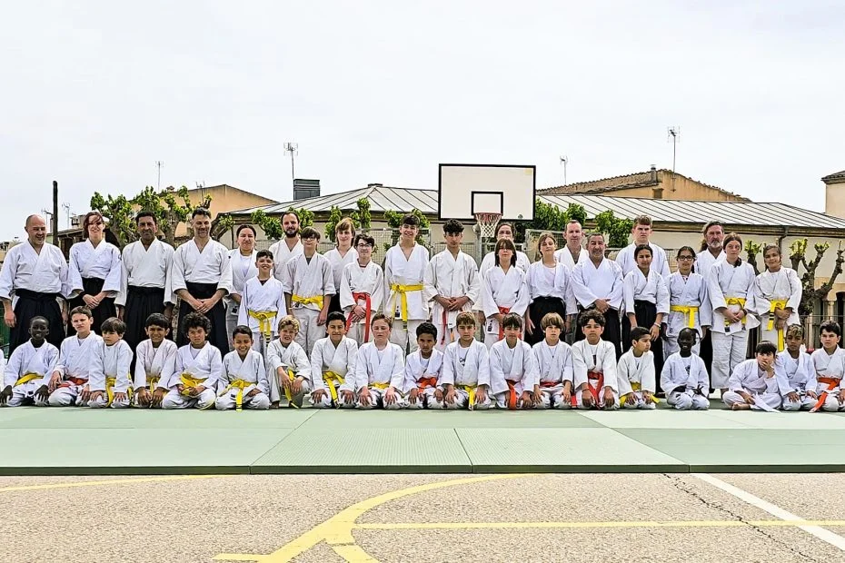 Seishin Aikido Mallorca. Aikido en Sineu.