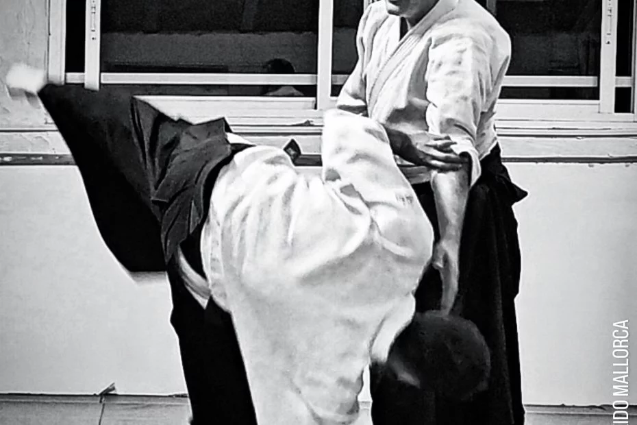 Lorenzo Coll Sensei. Seishin Aikido Mallorca.