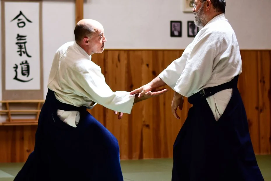 Pepe Jesús García Shihan. Seishin Aikido Dojo. Mallorca 2024.