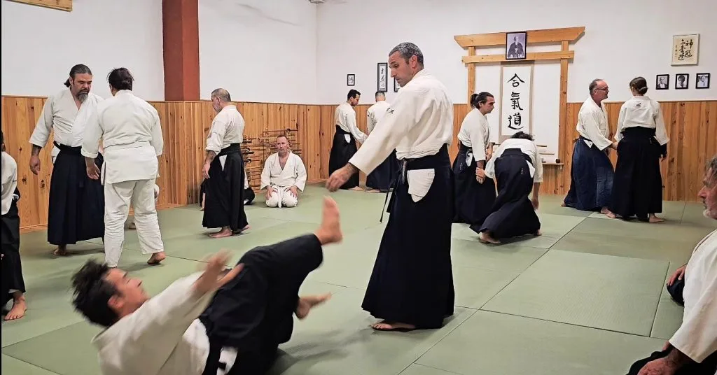 Luis Mochón Sensei. Aikido Mallorca 2024.