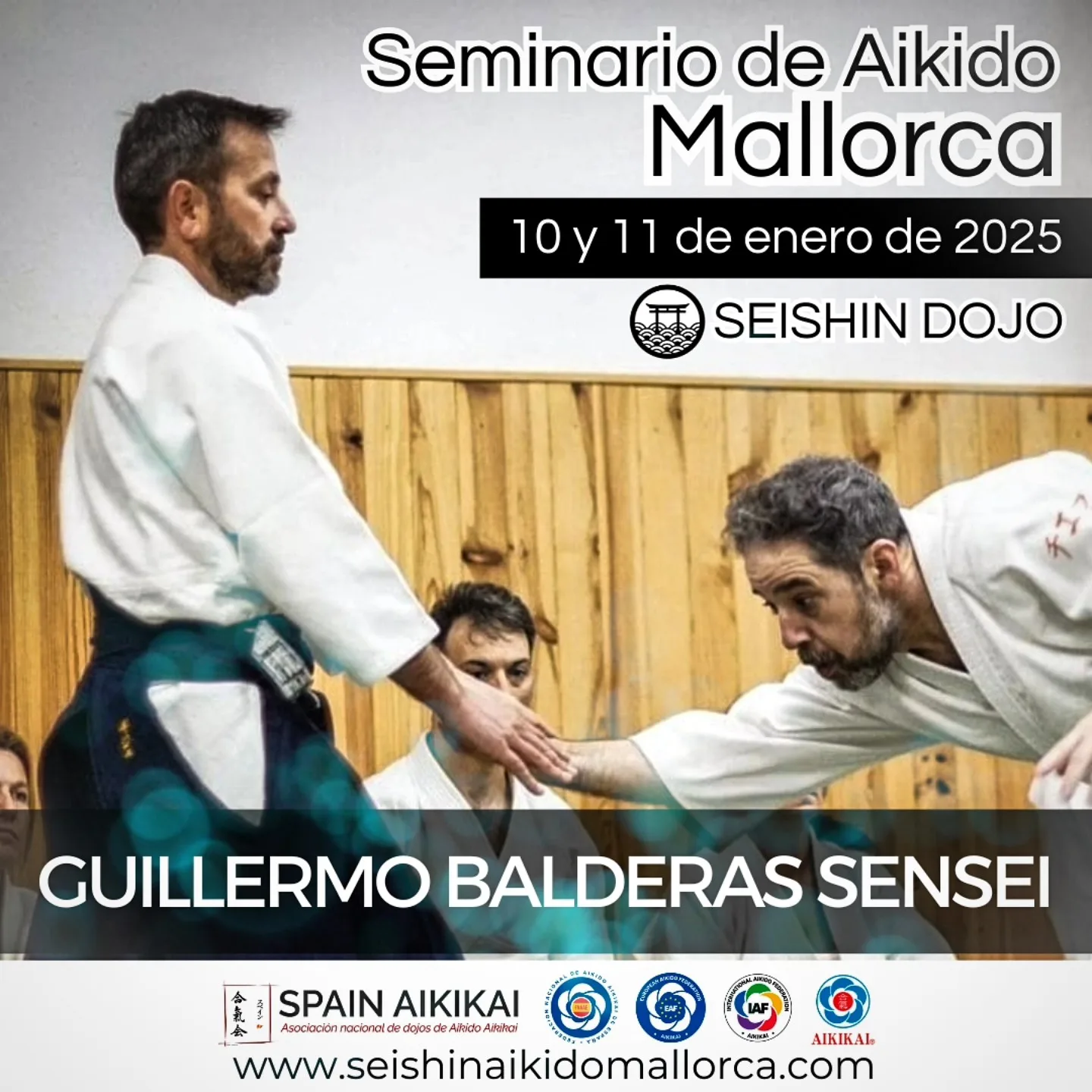Aikido Mallorca. Guillermo Balderas Sensei.