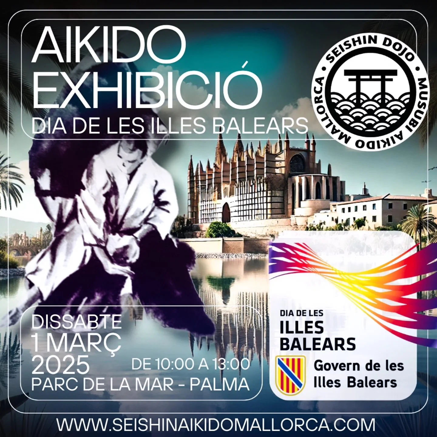 Seishin Aikido Mallorca