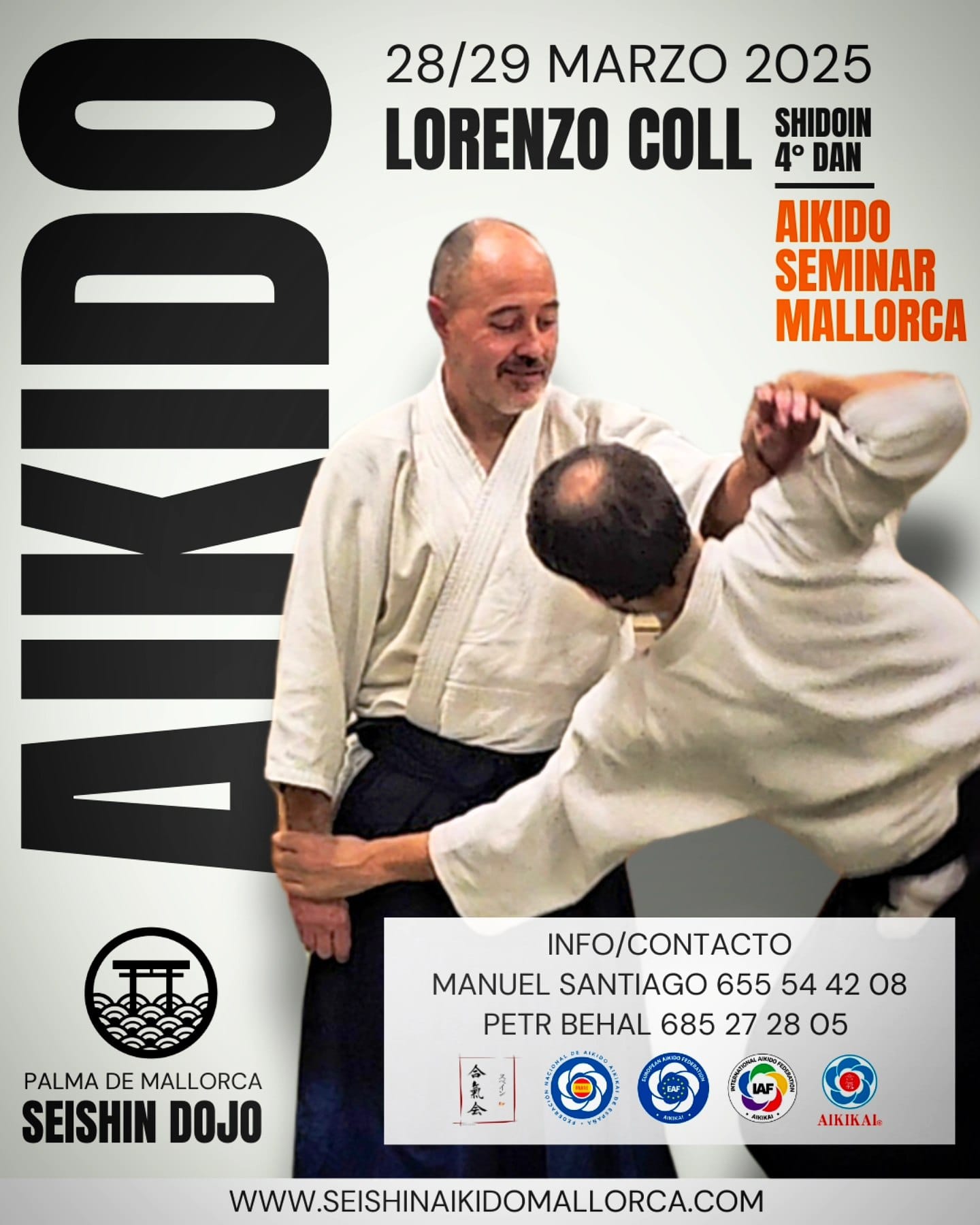 Lorenzo Coll Aikido