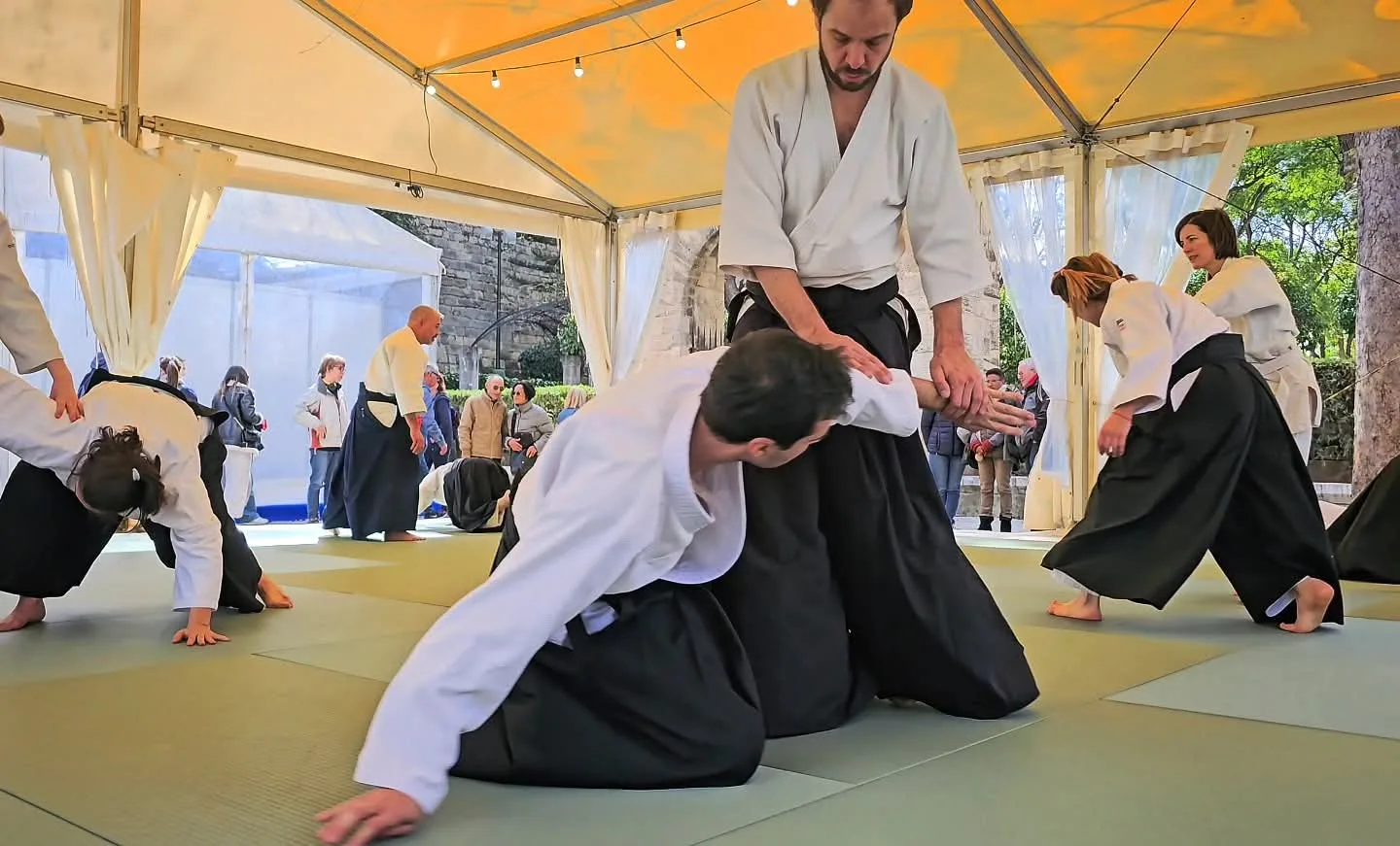 Seishin Aikido Mallorca. Diada de les Illes Balears 2025.