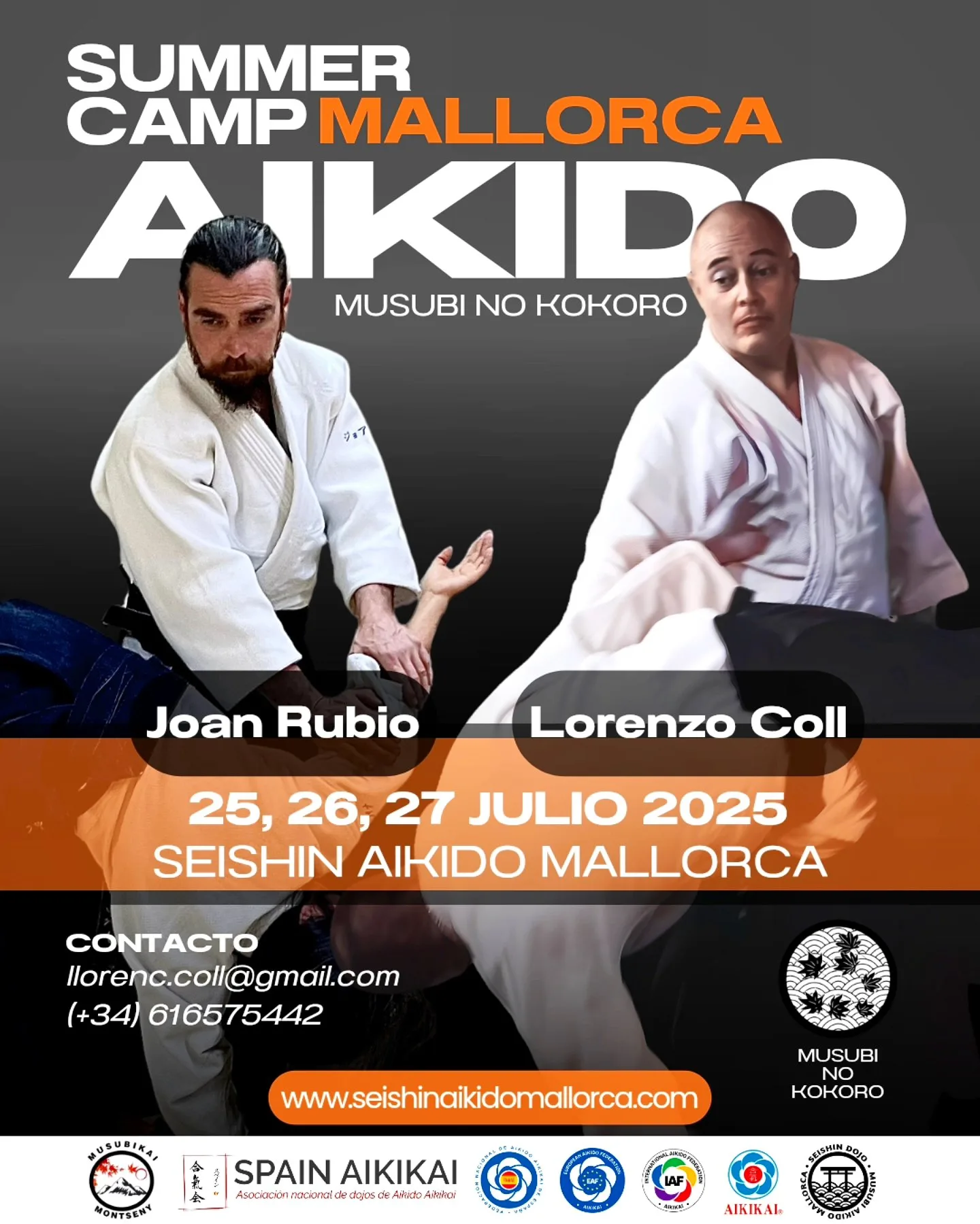 Aikido Mallorca